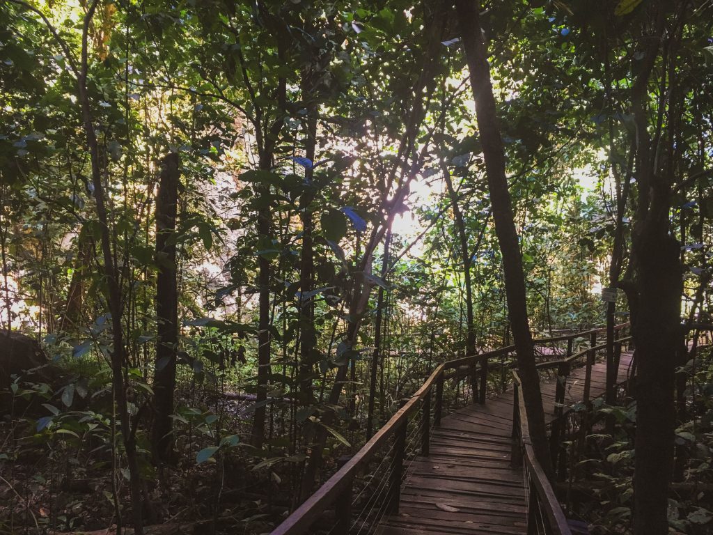 Trilha do Poço Azul