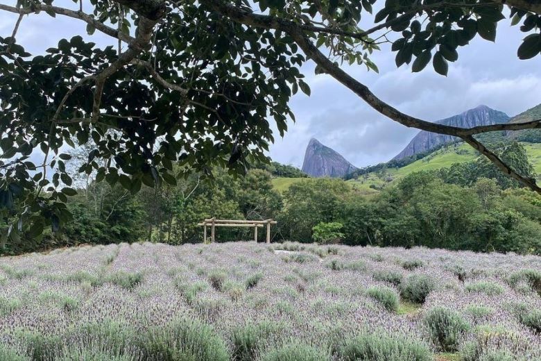 Lavandário de Pedra Azul
