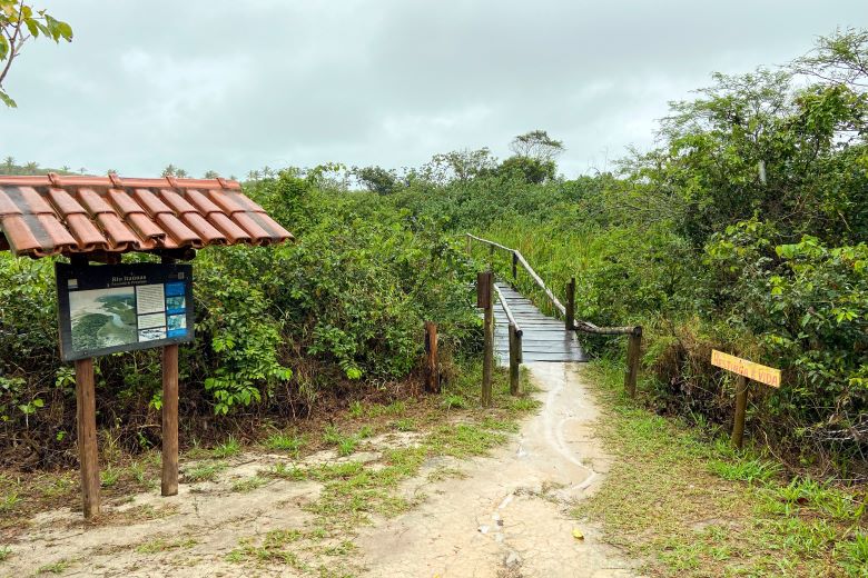 Trilha do Parque Estadual de Itaúnas que dá acesso às dunas