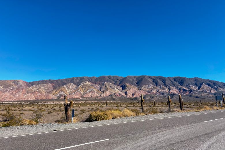 Parque Nacional Los Cardones