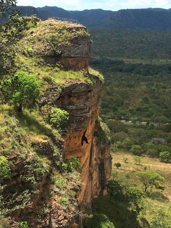 Formato de gato em um dos pilares da Chapada das Mesas