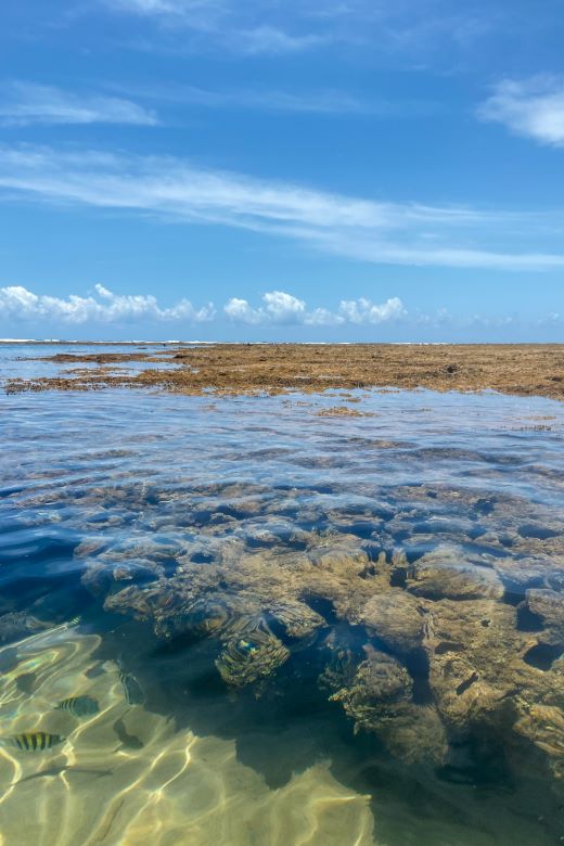 Piscinas naturais de Taipu de Fora
